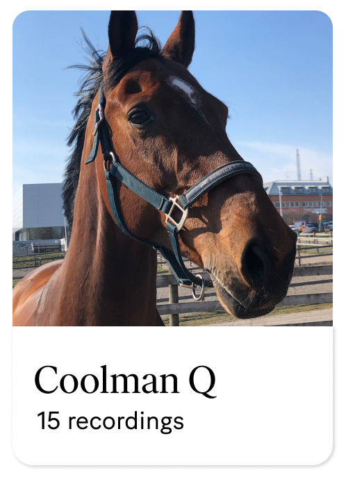 Coolman Q-avatar