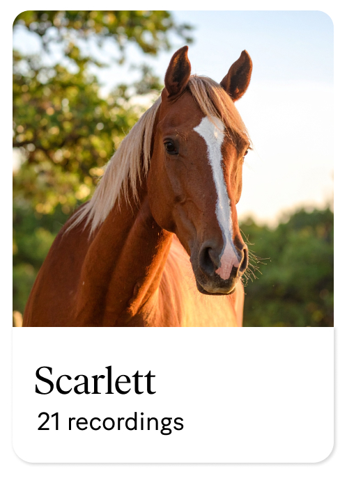 Scarlett