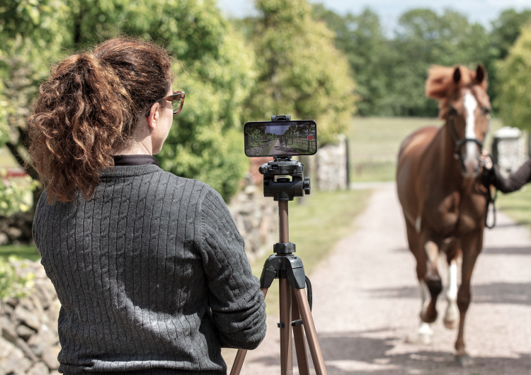 Objective gait analysis in equine lameness exams MoCap vs IMU vs Sleip