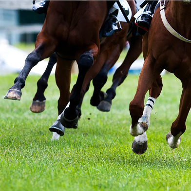 webinar-racing