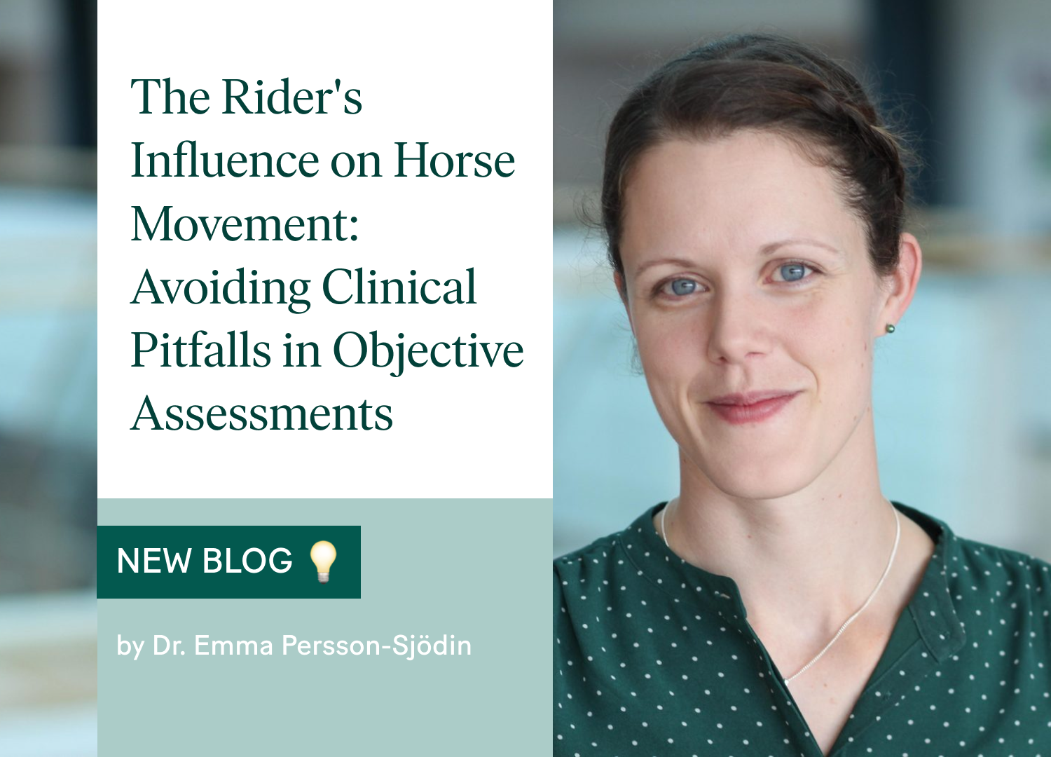 The Rider's Influence on Horse Movement: Avoiding Clinical Pitfalls in Objective Assessments