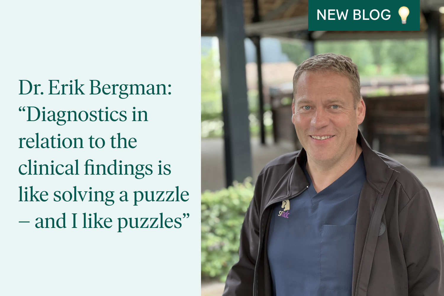 Dr. Erik Bergman: “Diagnostics in relation to the clinical findings is like solving a puzzle – and I like puzzles”