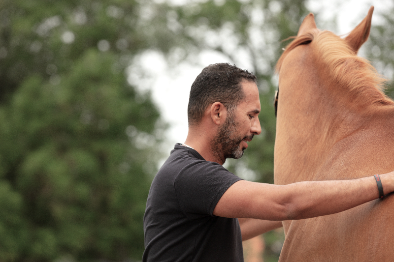 Managing the sport horse: practical tips for health and performance