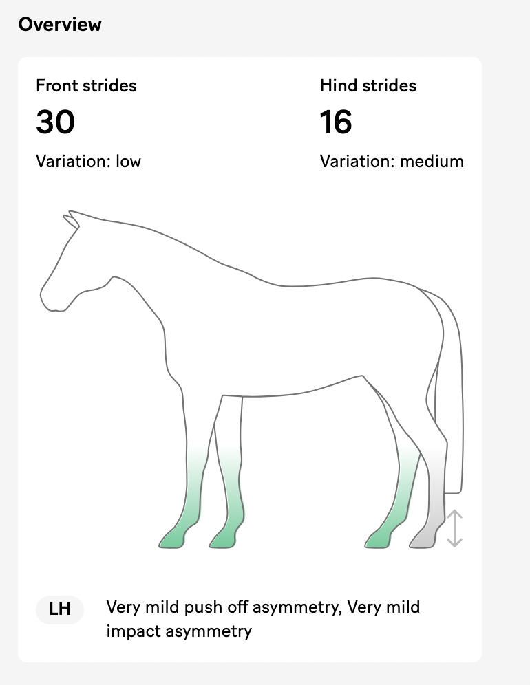 Minstrel BEFRORE summary view horse