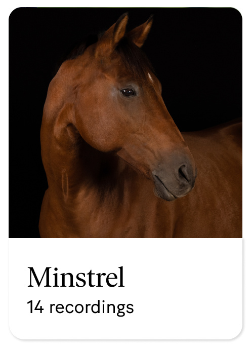 Minstrel-3