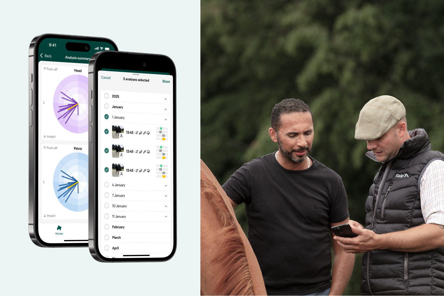 Export and share multiple analyses in one click