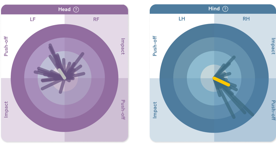 clock-plots-Notting-Hill-2