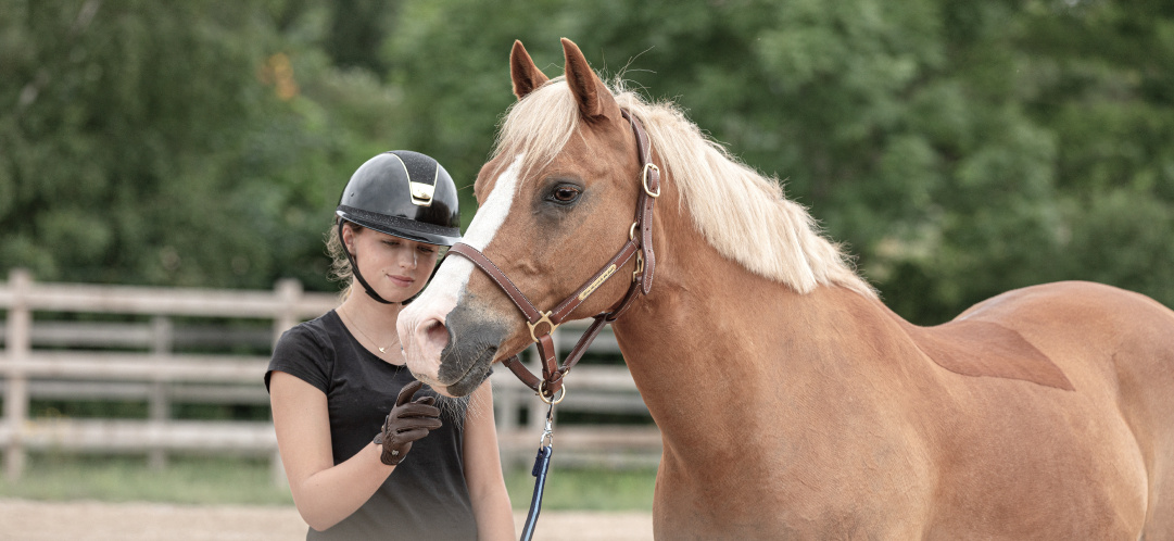 horse-owners