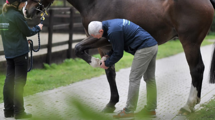 Adding clarity to lameness diagnostics